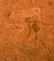 Brandberg Mtn Pictographs Below Left Of White Lady Zebra