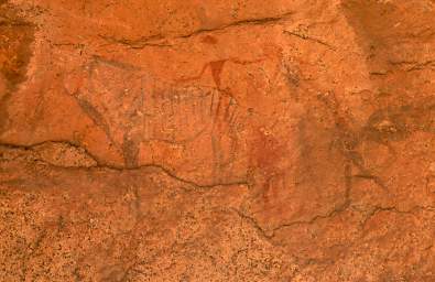 Brandberg Mtn Pictographs Zebra