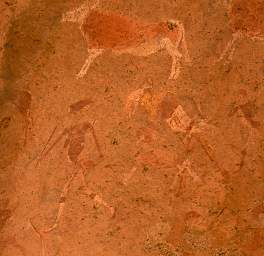 Brandberg Mtn Pictographs Other Lady Cows