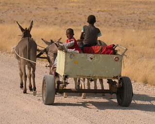 Brandberg Mtn Donkey Cart
