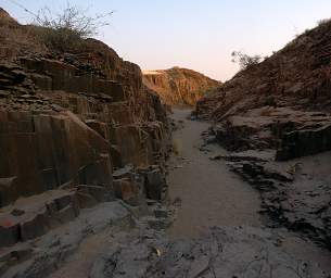 Organ Pipes