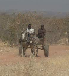 Damaraland Donkey Cart