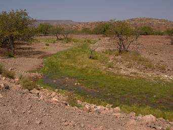 Damaraland Stream