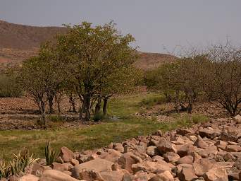 Damaraland Stream