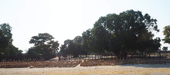 Etosha Clay Pots