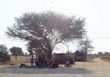 Etosha Shebeen