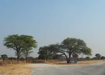 Etosha Roadside Table