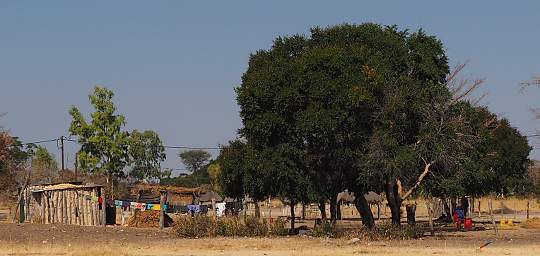 Mahango Houses