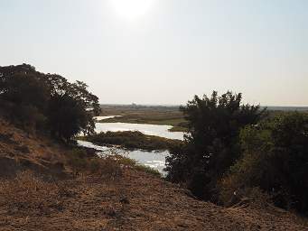 Mahango Okavango R