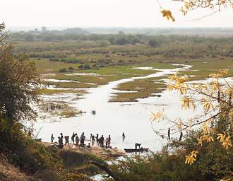 Mahango Okavango R Swimming