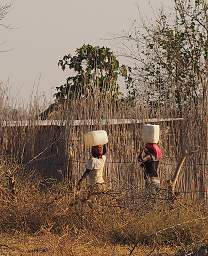 Mahango Women Carrying Water