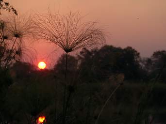 Popa Falls Sunset