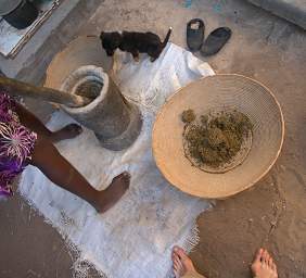 Grinding Millet