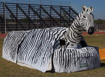 Ongwediva Fair Float Zebra