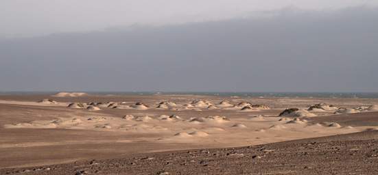 Skeleton Coast