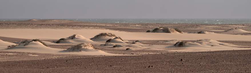 Skeleton Coast