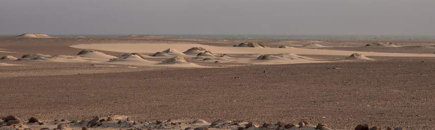 Skeleton Coast