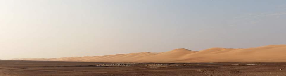 Skeleton Coast