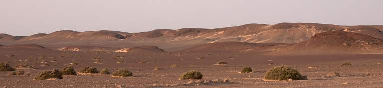 Skeleton Coast