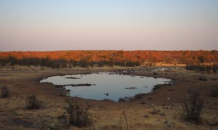 WT Etosha Waterhole Morning