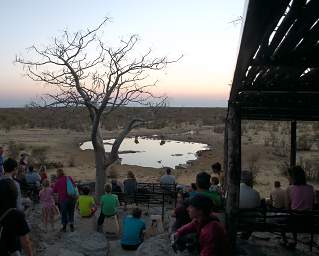 WT Etosha Waterhole People Rhinos