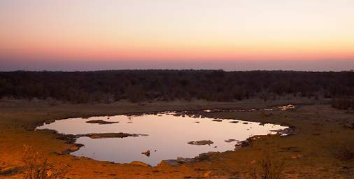 WT Etosha Waterhole Sunrise