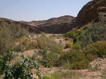Namib Naukluft Gaub River Bed