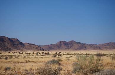 Namib Naukluft