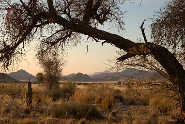 Namib Naukluft