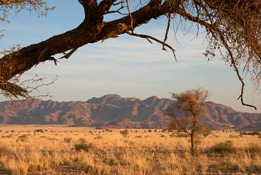 Namib Naukluft