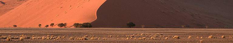 Namib Naukluft Sossusvlei Dune