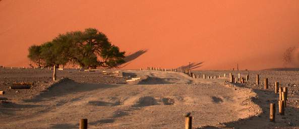 Namib Naukluft Sossusvlei Dune Posts