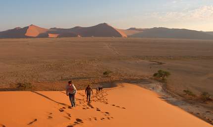 Namib Naukluft Sossusvlei Dune Group