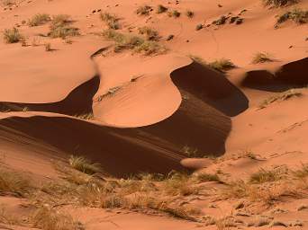 Namib Naukluft Sossusvlei Dune Patterns