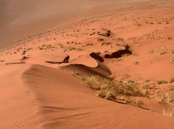 Namib Naukluft Sossusvlei Dune Patterns