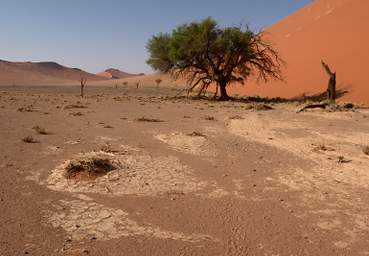 Namib Naukluft Sossusvlei Dune