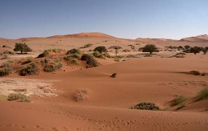 Namib Naukluft Sossusvlei