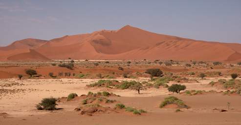 Namib Naukluft Sossusvlei