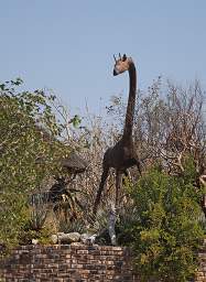 Vingerklip Lodge Giraffe Statue