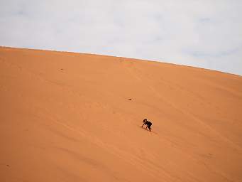 Swakop Dune7 Kathryn