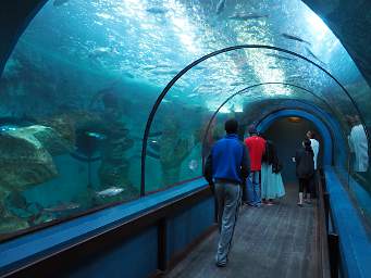 Swakop Acquarium Tunnel