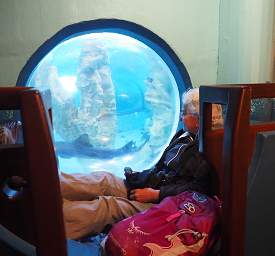 Swakop Acquarium Porthole Dona