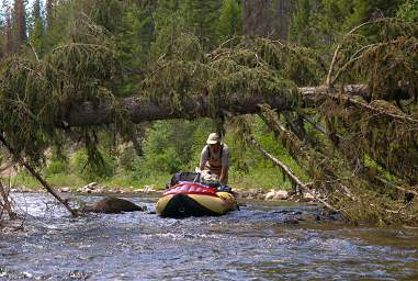 Youngs Cr Guiding Boat Under Tree