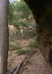 Camp3 Side Canyon