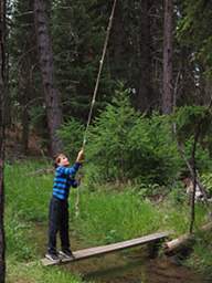 Tree House Swing Hayden