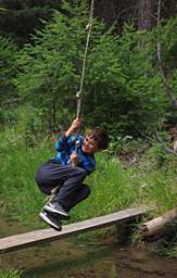 Tree House Swing Hayden