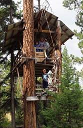 Tree House