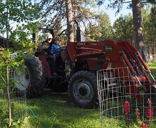 Tractor Hayden