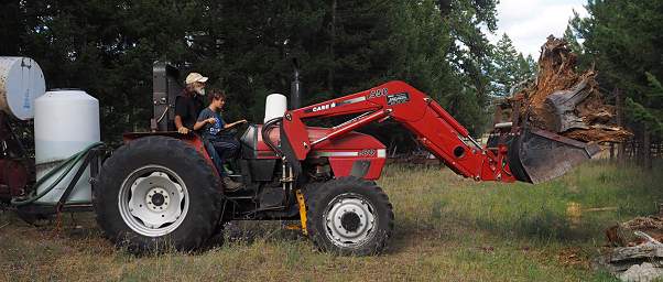 Tractor Autumn