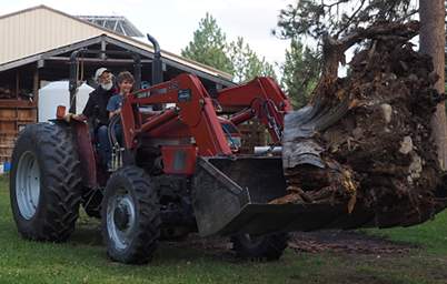 Tractor Autumn